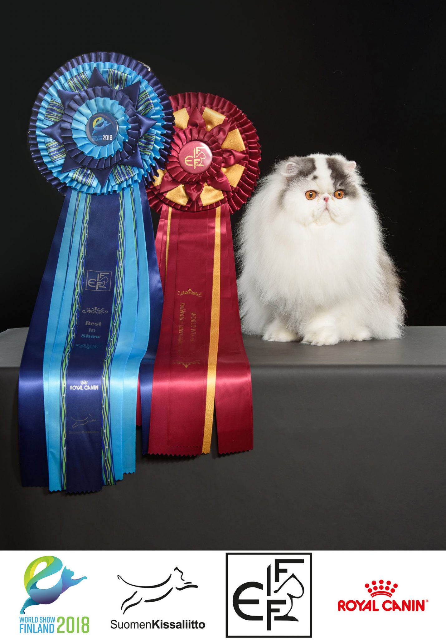 World Winner FIFe 2026