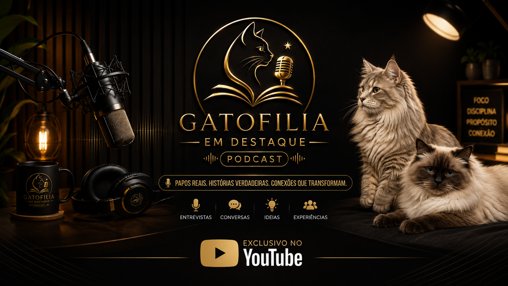 Podcast: Gatofilia em Destaque