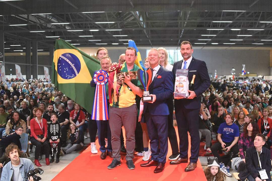 Premiação World Winner FIFe